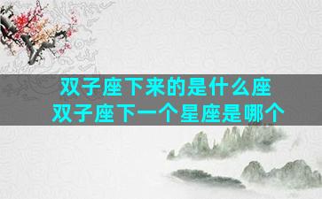 双子座下来的是什么座 双子座下一个星座是哪个